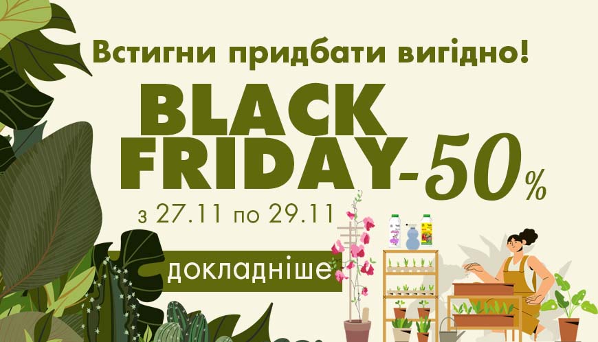 Чорна п'ятниця  [акція завершена]